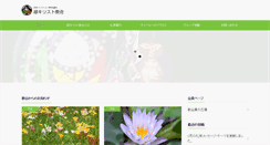 Desktop Screenshot of midori-church.net